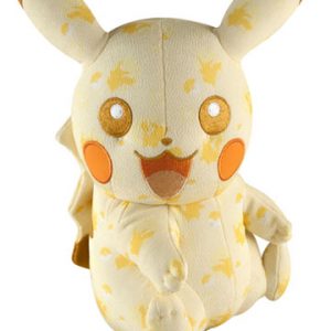 special pikachu pokemon